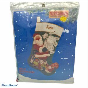 Vintage 1988 Santas Mail Felt Christmas Stocking Kit 95119 Titan Needlecraft